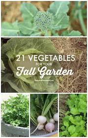 21 Vegetables For The Fall Garden