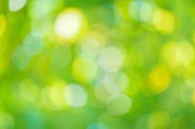 nature blur stock photos images and