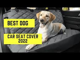 The Best Car Seat Covers For Dogs And