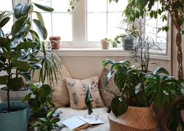 Feng Shui Plants To Bring Good Energy