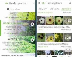 Your picture will be identified by a international team of experts. 9 Best Plant Identification App Choices Of 2020 Tested Reviewed