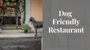 top 15 dog friendly restaurant chains