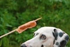 What kind of hot dogs can dogs eat?