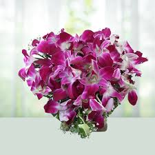 send 20 purple orchid flowers bouquet