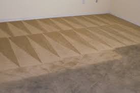 carpet cleaning oneway property