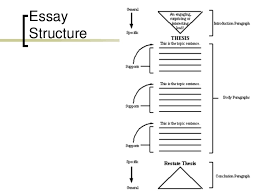 essay on article of incorporation include cpr certified resume     