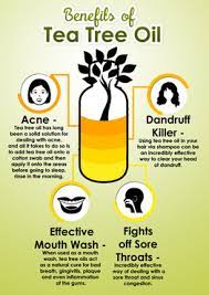 benefits of tea tree oil visual ly