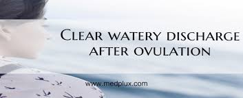 Choose breathable cotton underwear and, if your underwear is getting wet, try. Clear Watery Discharge After Ovulation Feeling Wet Am I Pregnant