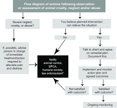 A Flow Diagram Of Actions Following Observation Of An Animal