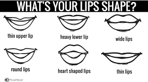 shape of your lips