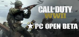 Call Of Duty Wwii Pc Open Beta Steamspy All The Data