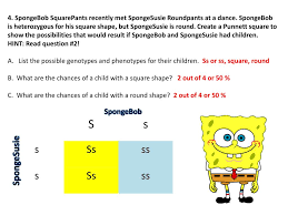 Create a punnett square to show the possibilities that would result if spongebob and sponge susie had children. Ppt Spongebob Genetics 1 2 Powerpoint Presentation Free Download Id 1895456