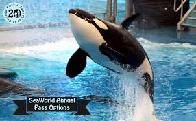 which seaworld annual p is right for
