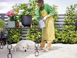 Pet Safe Pest Control Tips For Your