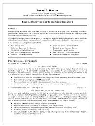    best Best Marketing Resume Templates   Samples images on     Advertising Account Executive Resume samples