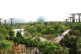 gardens by the bay singapore book