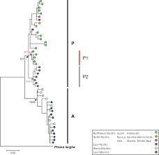 plos one mitochondrial dna reveals secondary contact in ese fig 2