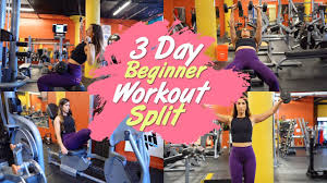 beginner 3 day workout split you