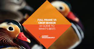 full frame vs crop sensor a guide to