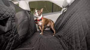 Best Car Seat Covers For Dogs Tested