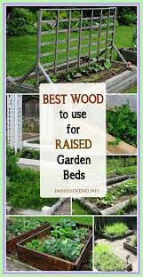 garden bed ideas bunnings