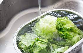 lettuce water and sleep