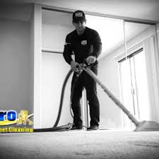 pro carpet cleaning 105 photos 611