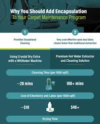 which is the best carpet cleaning method