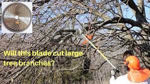 How to turn your weedeater into a tree eater! - YouTube