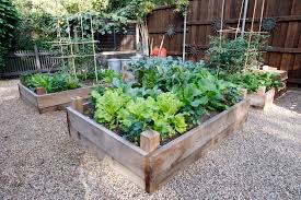 If You Want To Grow And Eat Veggies