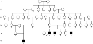 Family Tree Of The Patients Four Affected Patients Were Found In