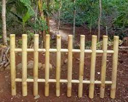 Bamboo Fence Bamboo Decor Bamboo Barrier