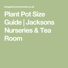 Plant Pot Size Guide Jacksons Nurseries Tea Room