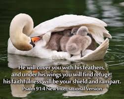 Image result for www.psalms91