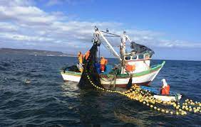 Ley 1851 de 2017 "Por medio de la cual se establecen medidas en contra de la pesca ilegal" - Derecho del Medio Ambiente