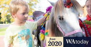 Pony rides birthday party perth. Children S Covid 19 Reward Parties Soften Harsh Reality But Animal Events Feel Greatest Pinch