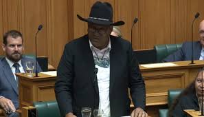 Image result for Rawiri Waititi ejected from Parliament