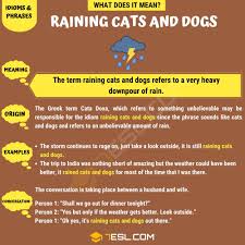 Hence, after a very bad rain, the corpses of cats and dogs were often found outside, looking as if they fell from the sky. Raining Cats And Dogs How To Use This Popular Term Correctly 7esl