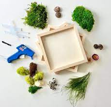 Diy Moss Art Kit Multi Panel Canvas