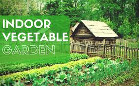 Indoor Vegetable Gardening 37 Edibles