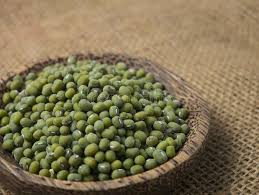 1 gram ( 150 bijian ) biji benih sayur selada hijau hidroponik. Mung Beans Also Known As Green Moong Kacang Hijau Vigna Radiata Stock Image Image Of Fresh Natural 126186379