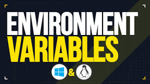 what are environment variables with