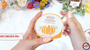 greek nonfat pumpkin yogurt review