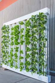 Vertical Farming Scheme From Government