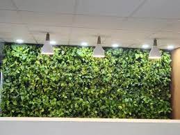 Green Wall Vertical Garden On