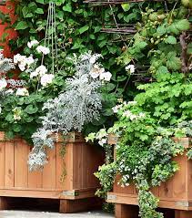 Wall Planters Landscaping Mick George