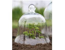 Victorian Style Glass Bell Jar Small