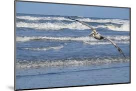 Beautiful New Smyrna Beach Fl Artwork For Sale Posters And