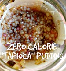 0 calorie tapioca pudding the y