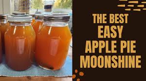 the best easy apple pie moonshine you